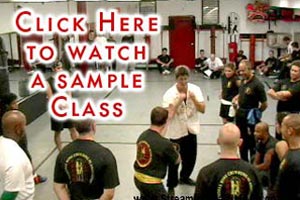 wing chun training video